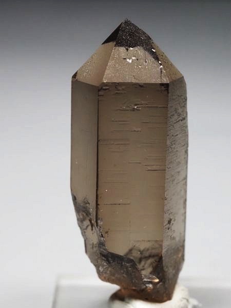 �X���[�L�[�N�H�[�c �X�C�X�A���v�X�����P���� 43mm 13.9g (37-113)