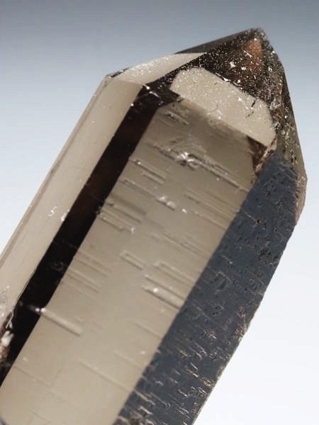 �X���[�L�[�N�H�[�c �X�C�X�A���v�X�����P���� 43mm 13.9g (37-113)