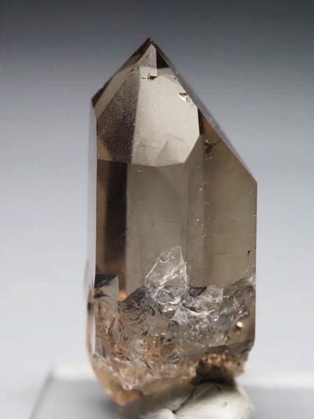 �X���[�L�[�N�H�[�c �X�C�X�A���v�X�����P���� 36mm 15.4g (36-98)