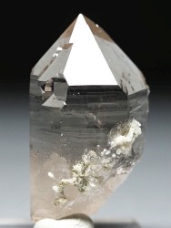 �X���[�L�[�N�H�[�c<br> �X�C�X�A���v�X�����P����<br> 40mm 18g (37-54)