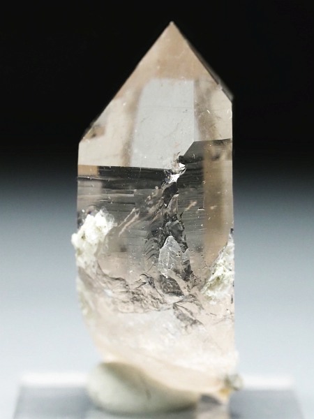 �X���[�L�[�N�H�[�c �X�C�X�A���v�X�����P���� 40mm 18g (37-54)