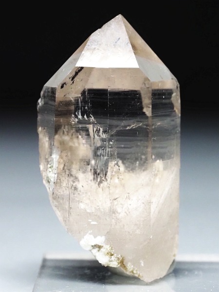 �X���[�L�[�N�H�[�c �X�C�X�A���v�X�����P���� 40mm 18g (37-54)