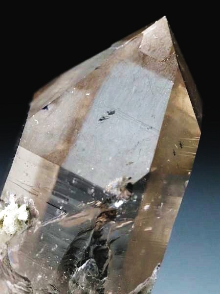 �X���[�L�[�N�H�[�c �X�C�X�A���v�X�����P���� 40mm 18g (37-54)