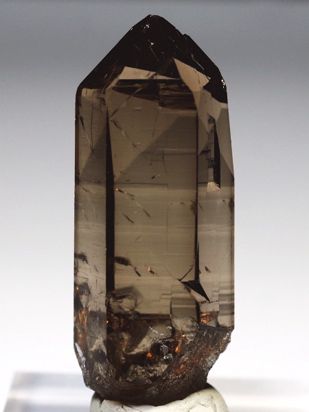 �X���[�L�[�N�H�[�c�X�C�X�A���v�X�����P���� 48mm 21g (36-53)