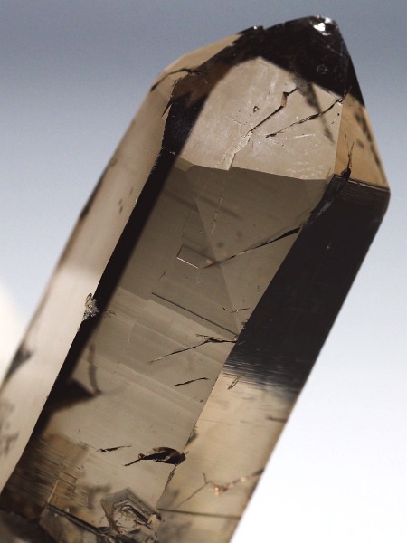 �X���[�L�[�N�H�[�c�X�C�X�A���v�X�����P���� 48mm 21g (36-53)