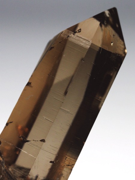 �X���[�L�[�N�H�[�c�X�C�X�A���v�X�����P���� 48mm 21g (36-53)