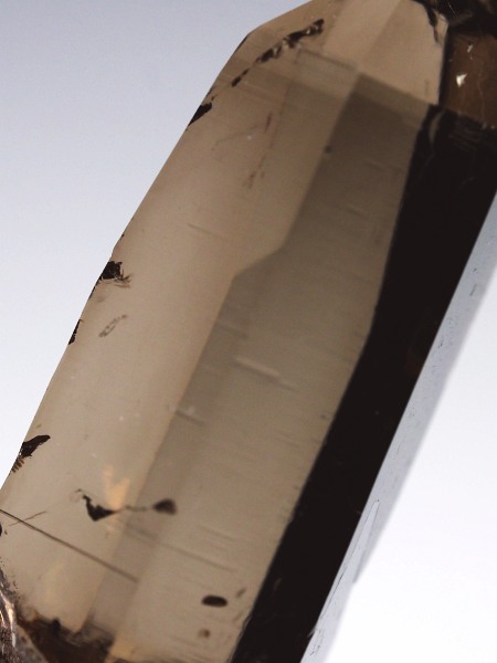 �X���[�L�[�N�H�[�c�X�C�X�A���v�X�����P���� 48mm 21g (36-53)