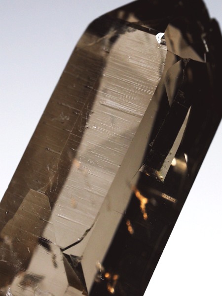 �X���[�L�[�N�H�[�c�X�C�X�A���v�X�����P���� 48mm 21g (36-53)