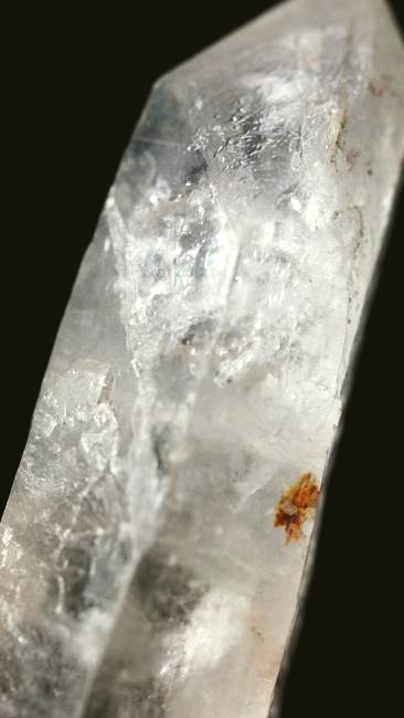 ���C�g�j���O�N�H�[�c ������ 60g (327)