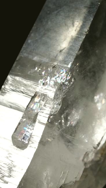 ���C�g�j���O�N�H�[�c ������ 96g (337)