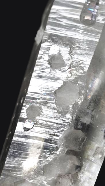 ���C�g�j���O�N�H�[�c ������ 96g (337)