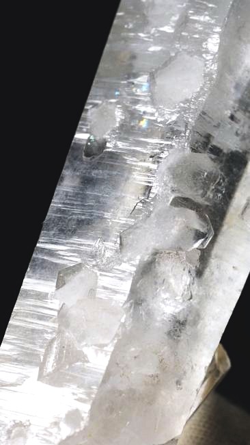 ���C�g�j���O�N�H�[�c ������ 96g (337)