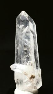 ���C�g�j���O�N�H�[�c<br> ������ 64g (338)