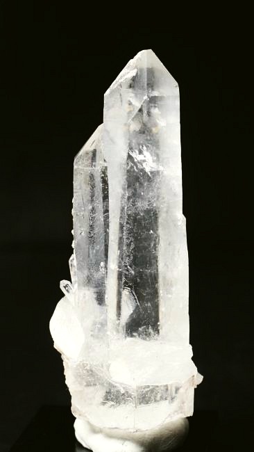 ���C�g�j���O�N�H�[�c ������ 64g (338)