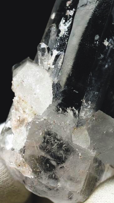 ���C�g�j���O�N�H�[�c ������ 64g (338)