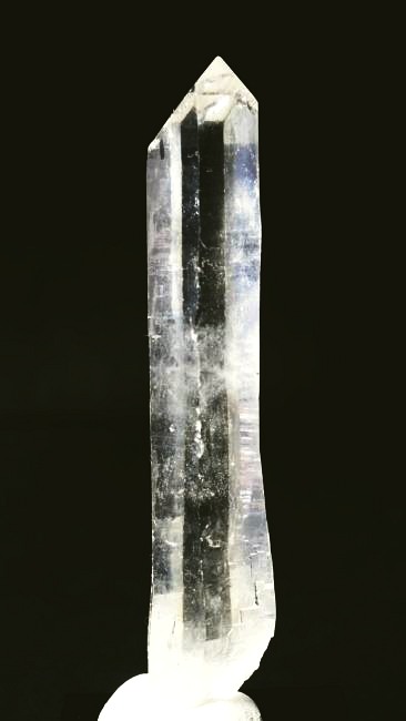 ���C�g�j���O�N�H�[�c ������ 38g (339)