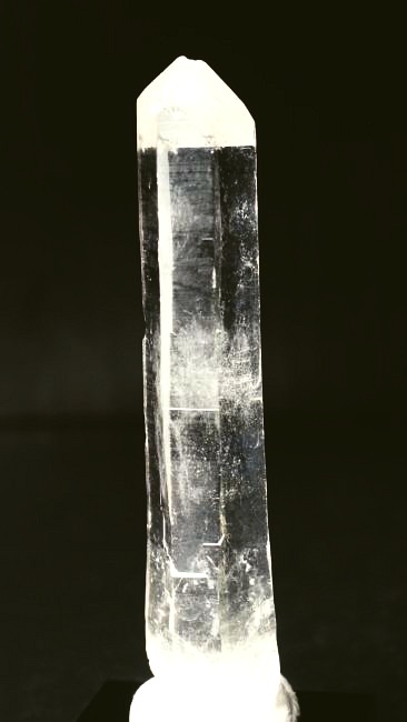 ���C�g�j���O�N�H�[�c ������ 38g (339)