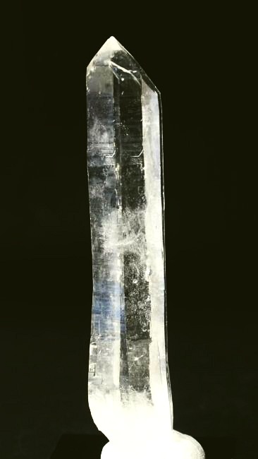 ���C�g�j���O�N�H�[�c ������ 38g (339)