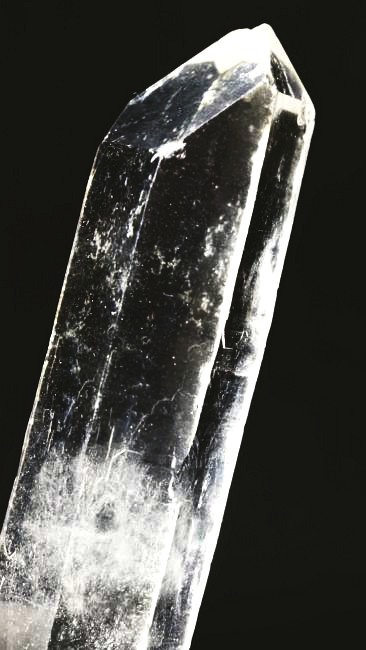 ���C�g�j���O�N�H�[�c ������ 38g (339)