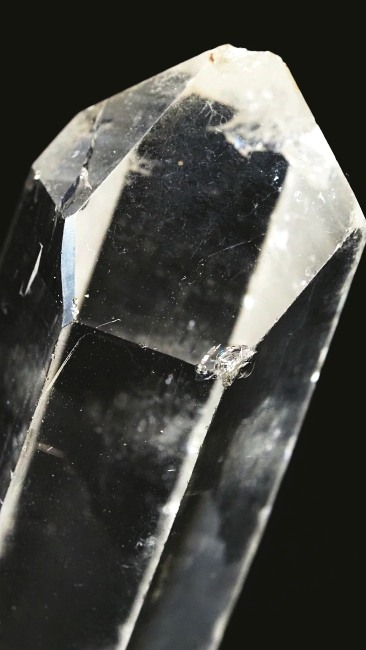 ���C�g�j���O�N�H�[�c ������ 38g (339)