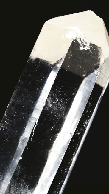 ���C�g�j���O�N�H�[�c ������ 38g (339)