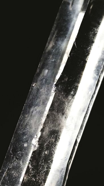 ���C�g�j���O�N�H�[�c ������ 38g (339)