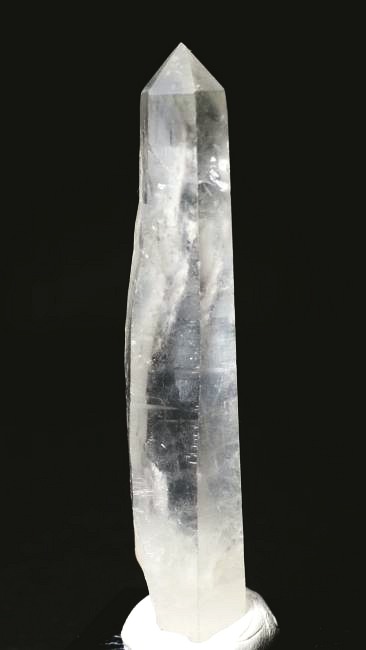 ���C�g�j���O�N�H�[�c ������ 34g (340)