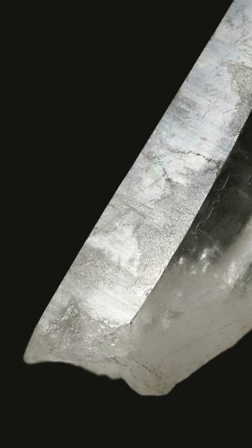 ���C�g�j���O�N�H�[�c ������ 34g (340)