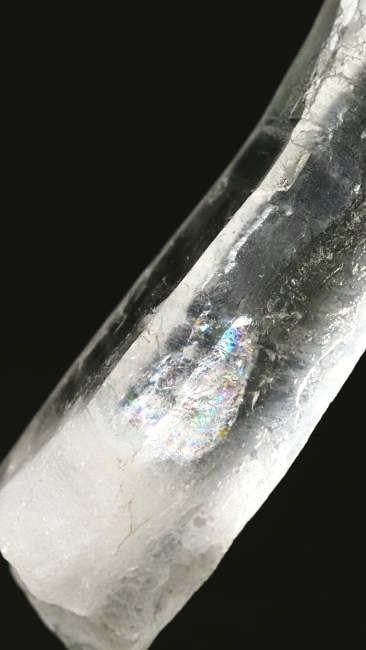 ���C�g�j���O�N�H�[�c ������ 34g (340)