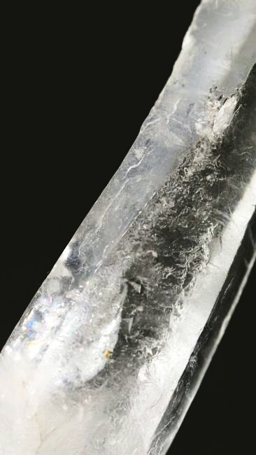 ���C�g�j���O�N�H�[�c ������ 34g (340)