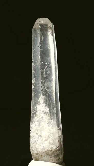 ���C�g�j���O�N�H�[�c ������ 37g (341)