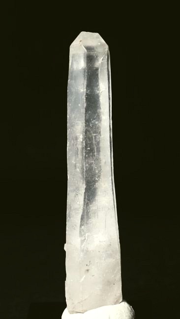 ���C�g�j���O�N�H�[�c ������ 37g (341)