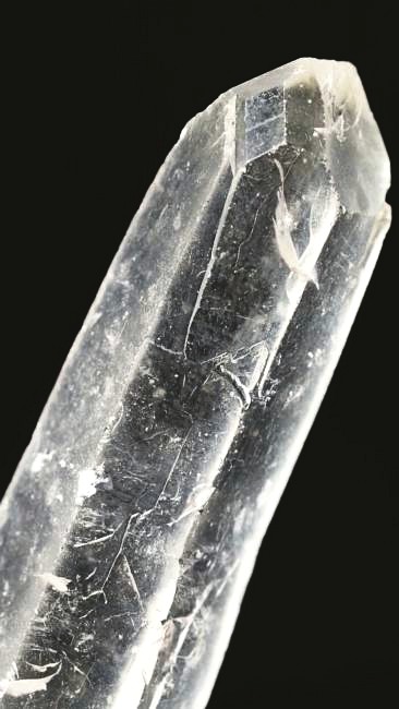 ���C�g�j���O�N�H�[�c ������ 37g (341)