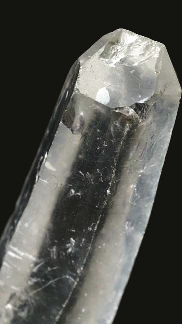 ���C�g�j���O�N�H�[�c ������ 37g (341)