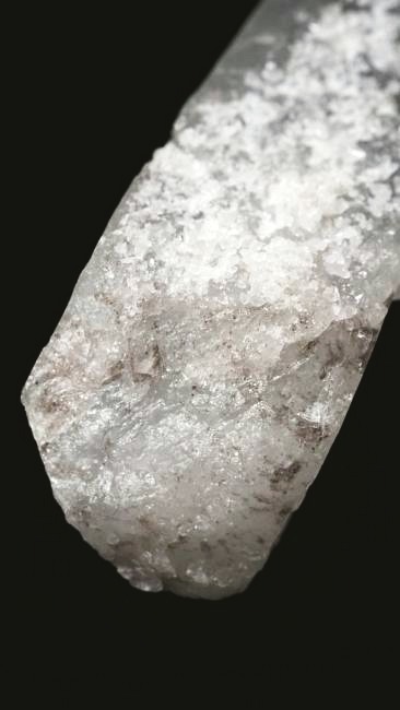 ���C�g�j���O�N�H�[�c ������ 37g (341)