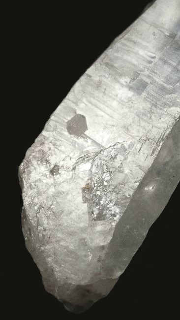 ���C�g�j���O�N�H�[�c ������ 37g (341)