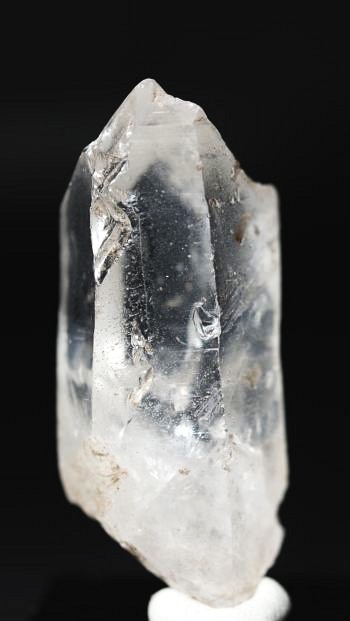 ���C�g�j���O�N�H�[�c ������ 24g (343)