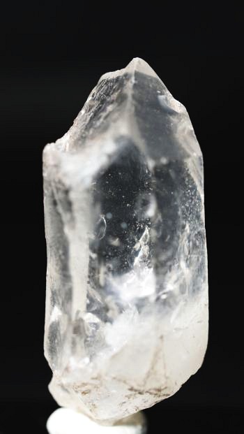 ���C�g�j���O�N�H�[�c ������ 24g (343)