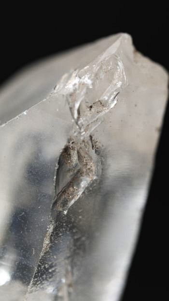 ���C�g�j���O�N�H�[�c ������ 24g (343)