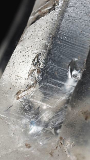 ���C�g�j���O�N�H�[�c ������ 24g (343)