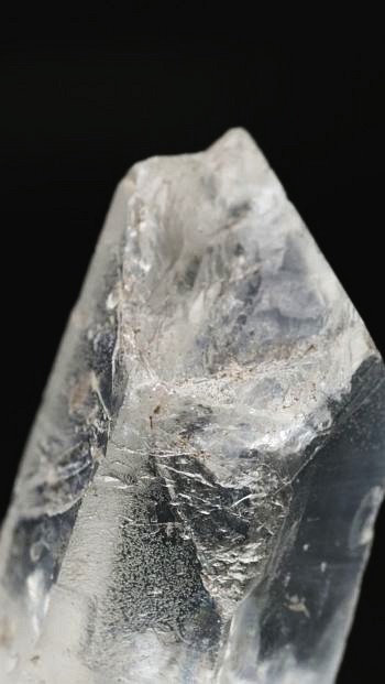 ���C�g�j���O�N�H�[�c ������ 24g (343)