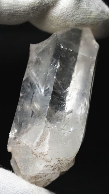 ���C�g�j���O�N�H�[�c ������ 24g (343)