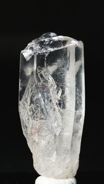 ���C�g�j���O�N�H�[�c ������ 25g (344)