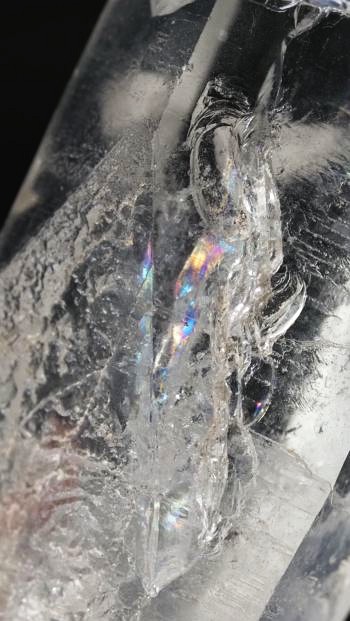 ���C�g�j���O�N�H�[�c ������ 25g (344)