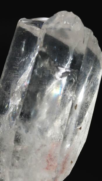 ���C�g�j���O�N�H�[�c ������ 25g (344)