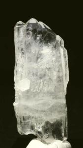 ���C�g�j���O�N�H�[�c<br> ������ 30g (345)