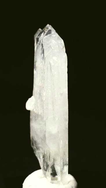 ���C�g�j���O�N�H�[�c ������ 30g (345)