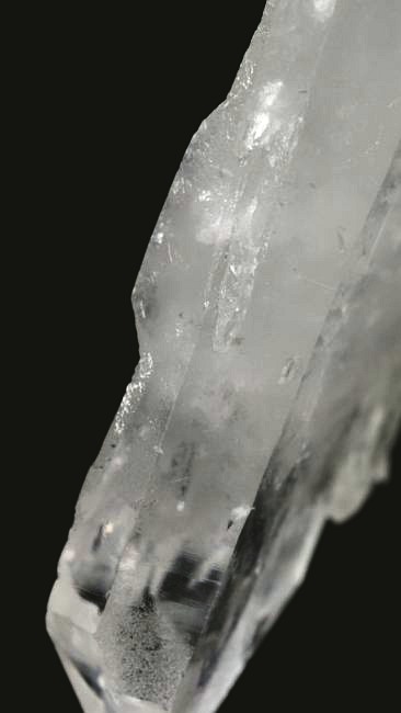 ���C�g�j���O�N�H�[�c ������ 30g (345)