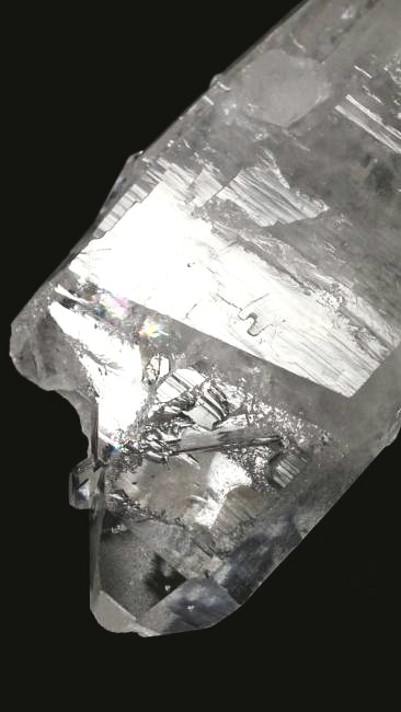 ���C�g�j���O�N�H�[�c ������ 30g (345)