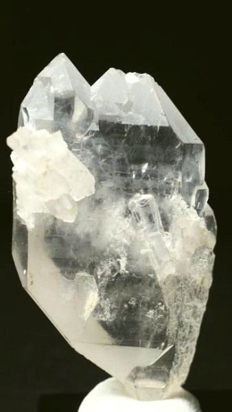 ���C�g�j���O�N�H�[�c ������ 52g (346)